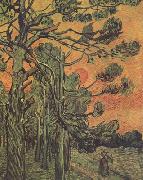 Vincent Van Gogh Pine Trees against a Red Sky with Setting Sun (nn04) oil